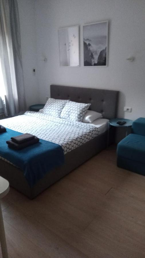 Apartment Simple Teslina