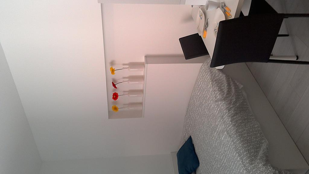 Simple Teslina Apartment