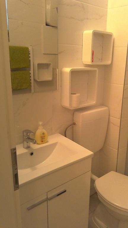 Apartment Simple Teslina