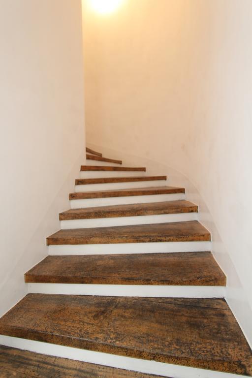 Apartment Simple Teslina